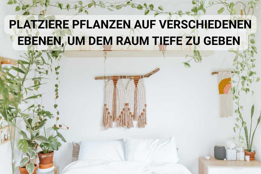 Schlafzimmerpflanze